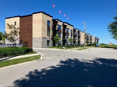 Lucan Woods - 1 study The Stanley Image# 1