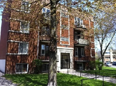 NDG (Loyola) - 5½ lumineux, Mai 2026, électros parking inclus Image# 1