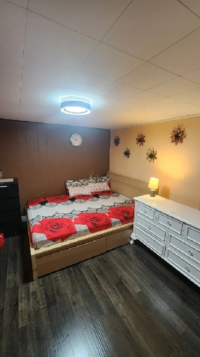 Furnished Studio Basement for Rent Image# 1