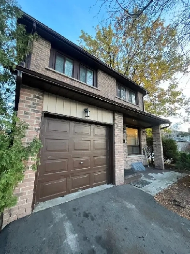 SHARED ROOM AVAILABLE IN MISSISSAUGA. HEART OF CITY Image# 1