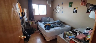 Room for Rent in Banff Trail! Image# 1