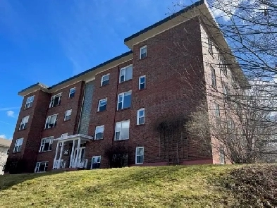 340 Connaught St Apt 11, 3rd floor One Bedroom Image# 1