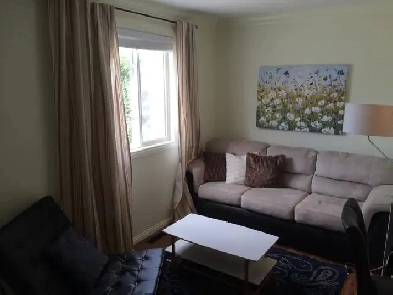 CLASSY, CHIC, FULLY-FURNISHED, ONE-BEDROOM FLAT IN CENTRAL YEG Image# 1