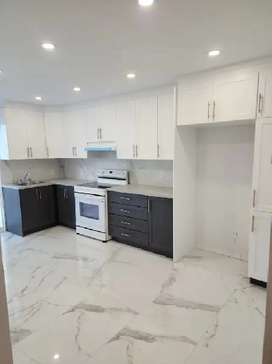 Grand 4 ½, 1er février, Rénové, stationnement, métro, 1 625$ Image# 1