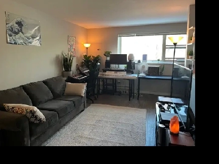 Onebedroom sublet in Corydon Feb 1 - awesome location and price Image# 1