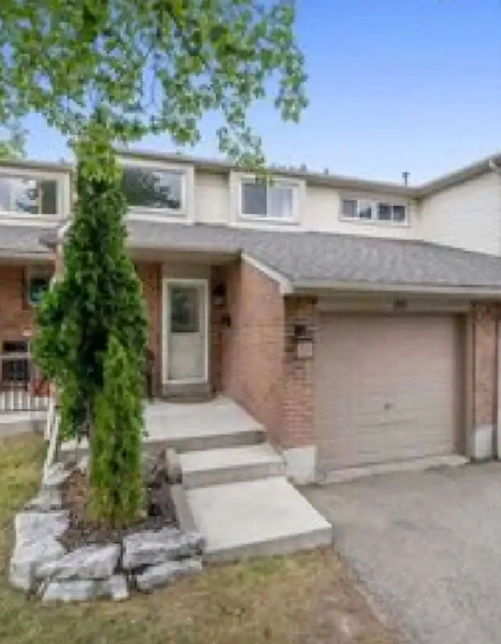 One bedroom furnished basement available for rent