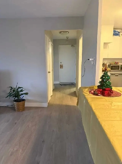 1 bed 1 bath Image# 1