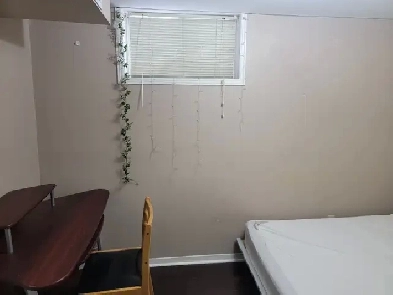 1 Bedroom Basement  Separate Entrance Image# 1