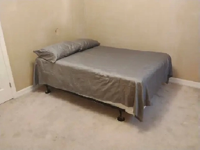 Immed/Feb-12X12-15m/Algonq-30min/Carleton-Furn, See VIDEO's Image# 2