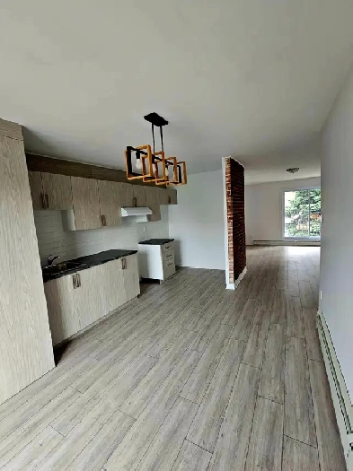 Superbe appartement Style 'new yorkais' - à louer Image# 1