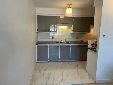 3 1/2 METRO COTE-VERTU (TOUT-INCLUS) REM BOIS-FRANC Image# 1