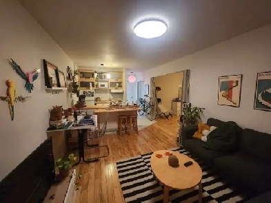 cozy 3 1/2 metro laurier-Mars Image# 1