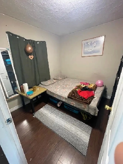 Multiple rooms and basement unit available from February 1st Image# 1