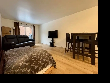 Appartement 3 ½ à louer Limoilou juillet 2026 Image# 1