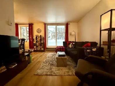 Appartement 4 ½ à louer Lévis juillet 2026 Image# 1