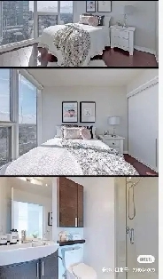 Furnished 1 BR   1 BATH in Shared 2BR/2BA Apt Downtown Toronto Image# 1