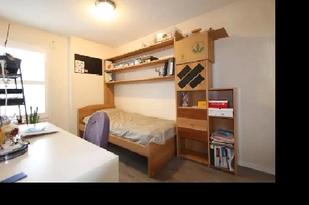 Furnished Bedroom shared bathroom for Rent Image# 1