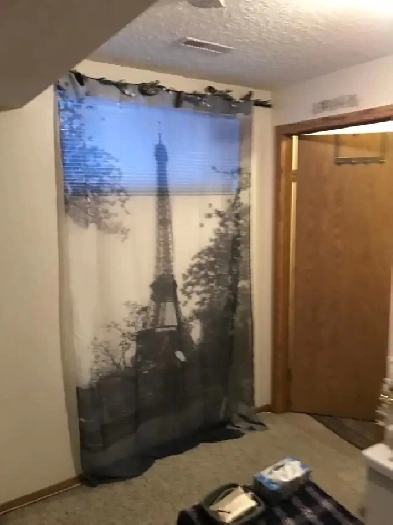 1 bedroom 1 bathroom basement suite for rent in Martindale NE Image# 1