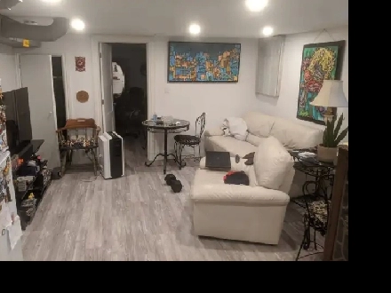 Annex Beautiful Spacious basement apartment near Dupont subway Image# 1