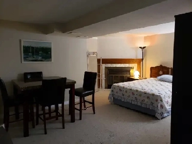 Large beautiful furnished basement for rent. Image# 5