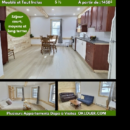 APPARTEMENT MEUBLÉ-TOUT INCLUS 3 CHAMBRES 5 1/2  -  CENTRE VILLE