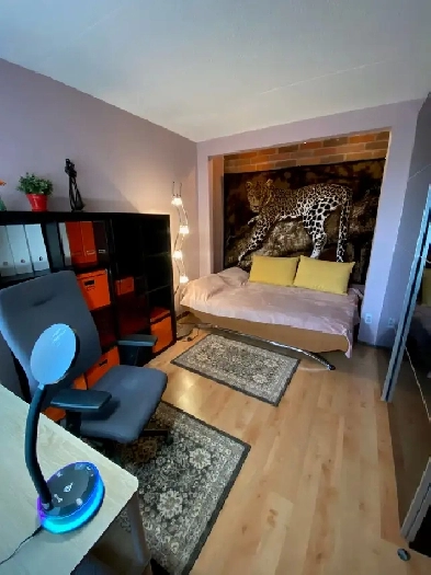 1 room for rent short term Downtown Montreal near Atwater M Image# 9