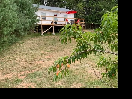 Adorable Small Home For Sale (to be moved) Image# 2