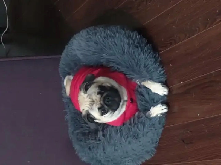 A little help please