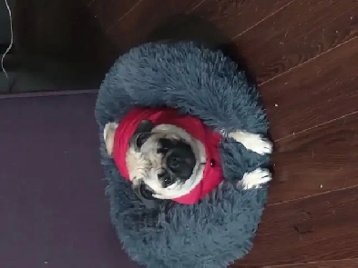 A little help please