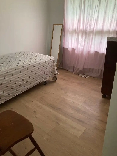 furnished room for female in Markham Image# 1