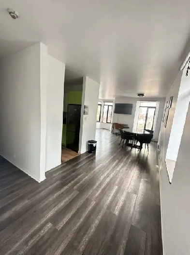 Grand 5 et demi Plateau Mont-Royal Image# 1