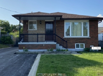 Bradford Basement Master Room for Rent Image# 1