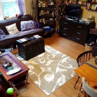 1 BEDROOM FOR RENT Downtown Image# 1