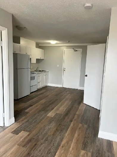 One Bedroom Available February in Minnow Lake Image# 1