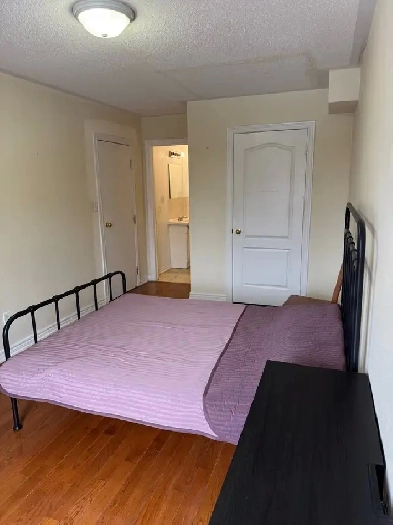 rooms for rent at York University village Image# 1