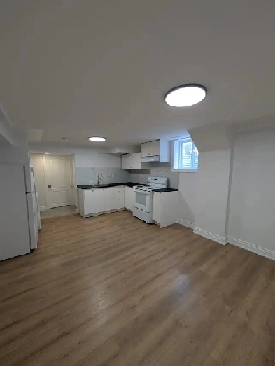 1 BEDROOM BASEMENT WITH BACKYARD