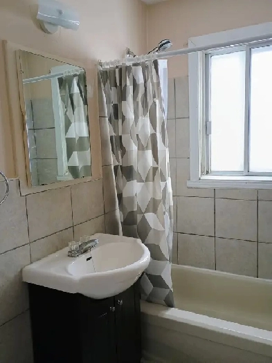 3 1/2 près du parc, métro et Marché Central Image# 1