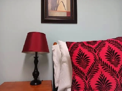 Furnished 1 Bedroom month-to-month rental $850