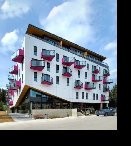 1 Bed Penthouse Condo - Downtown Image# 8