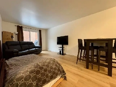 Appartement 3 ½ à louer Limoilou juillet 2026 Image# 1