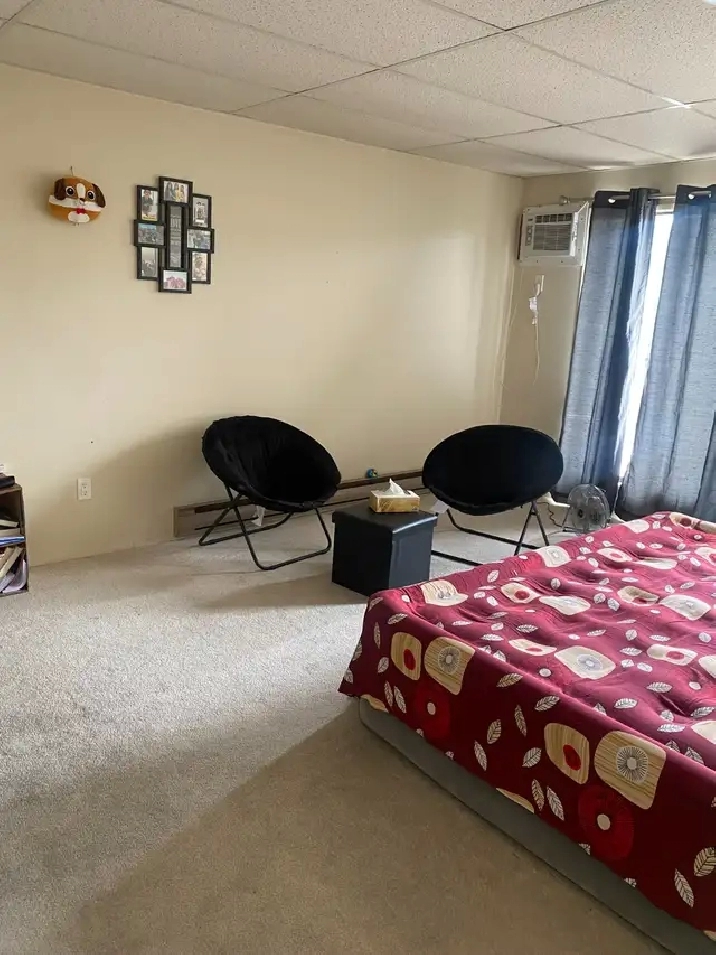 ✨ TOP FLOOR | 1-BEDROOM SUITE | CAT FRIENDLY ✨