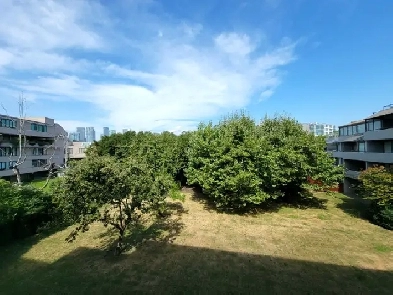 One Bedroom Apartment for Rent Next to Seawall Image# 1