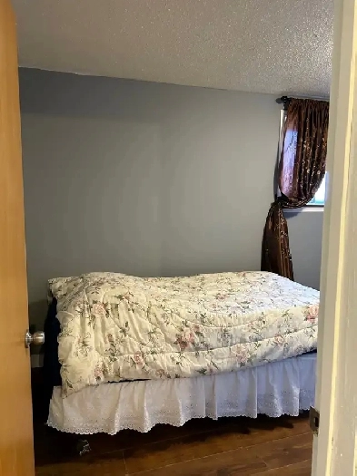 $675 for 1 Room @Tuxedo Innercity  North Image# 1