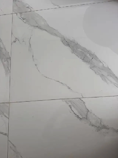 3-1/2 libre 1er février idéal pour étudiant Image# 1