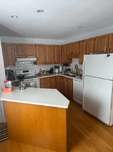 2 bed 1 bath house for rent Image# 7