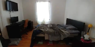 Près Cégep Ste-Foy, Garneau et Université pour étudiant(e) seule Image# 1