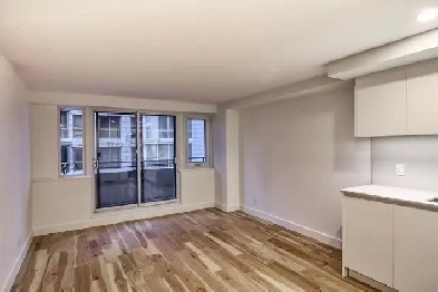 renovated one bedroom near McGill university  ID 4174