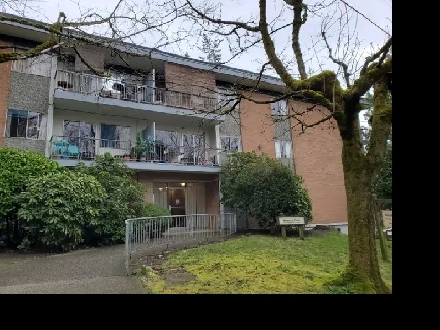 1 Bedroom Apt Available Now. Near Edmonds and Kingsway Ave Image# 1