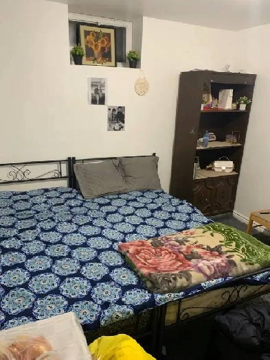 shared rooms for rent