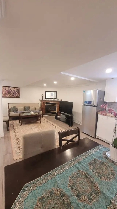 Beautiful furnished 1Bed Den Basement in Richmond Hill Image# 1